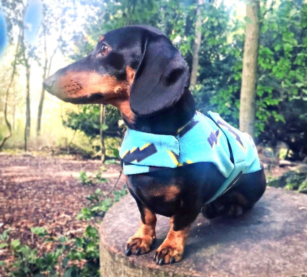 Sausage Dog Box Designer Fleece Waterproof 'Lightning Bolt' Coat