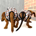 Load image into Gallery viewer, Antibacterial Dachshund Dog Surgery Suit | Sausage Dog Recovery / Allergy Outfit
