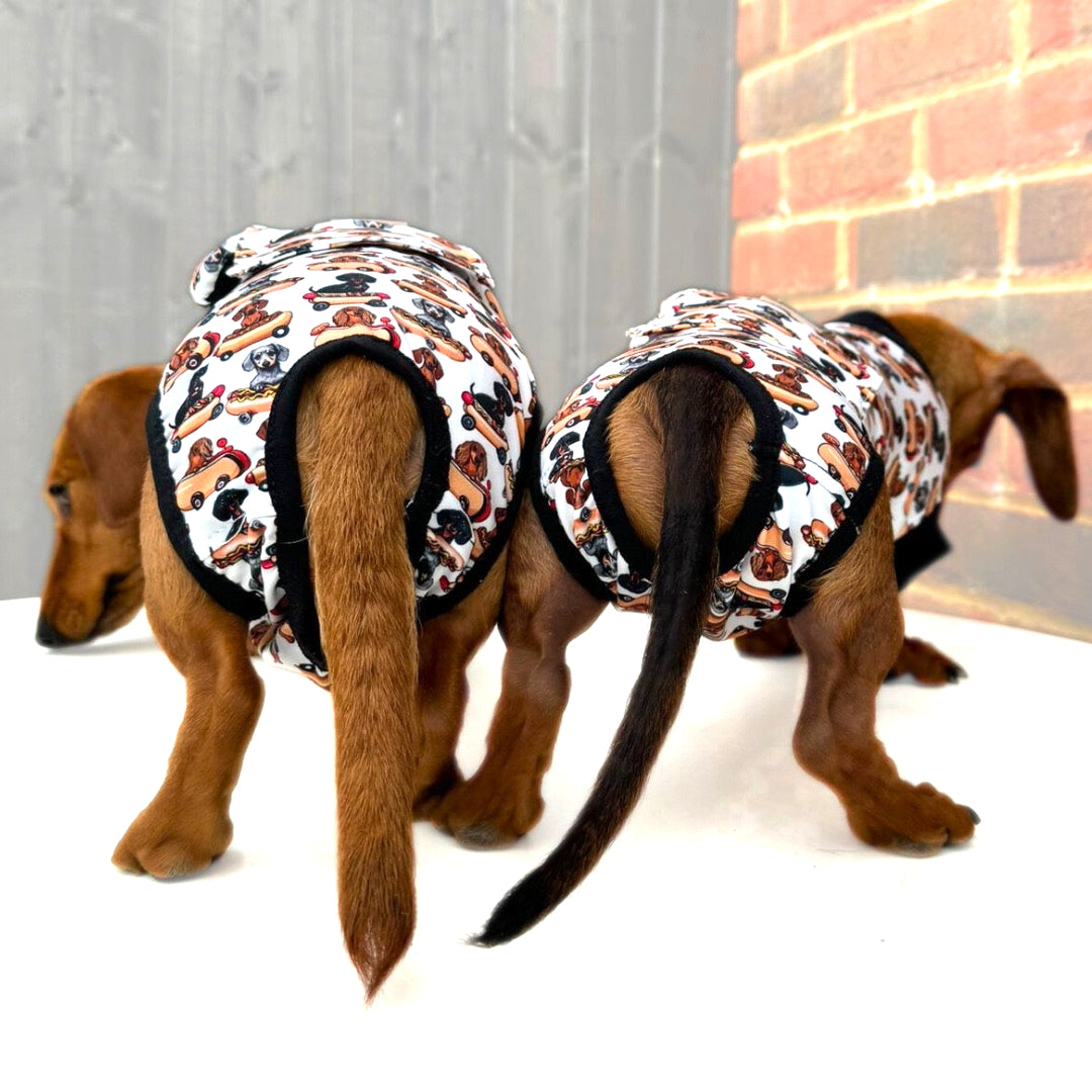 Antibacterial Dachshund Dog Surgery Suit | Sausage Dog Recovery / Allergy Outfit