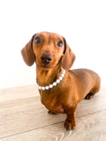 Load image into Gallery viewer, Sausage Dog Box Pearl / Diamond Style Necklace

