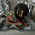 Load image into Gallery viewer, Sausage Dog Box Christmas Gingerbread Tee
