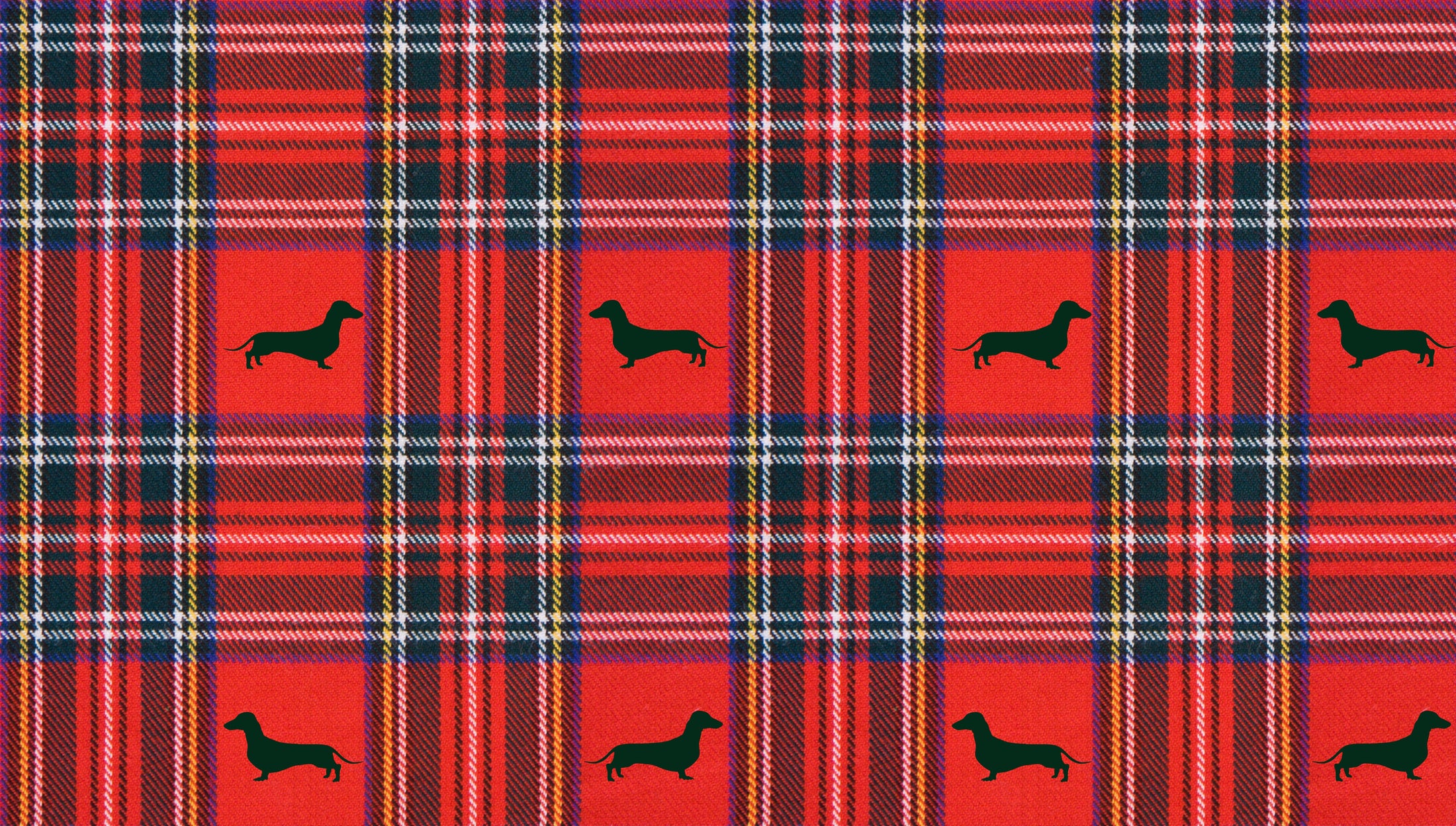 Tart'n Up 'Dach-A-Mac' Dachshund Rain Mac In Bag Sausage Dog Box Folda