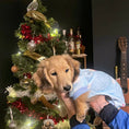 Load image into Gallery viewer, Snow Cute Dachshund Christmas PJ Onesie Outfit - Blue
