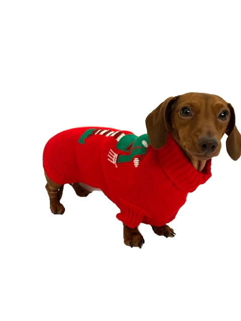 Sausage Dog Box Dachshund Christmas Elf Jumper