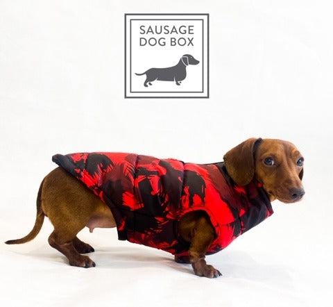 Sausage Dog Box Waterproof Step In Puffer Coat - Red