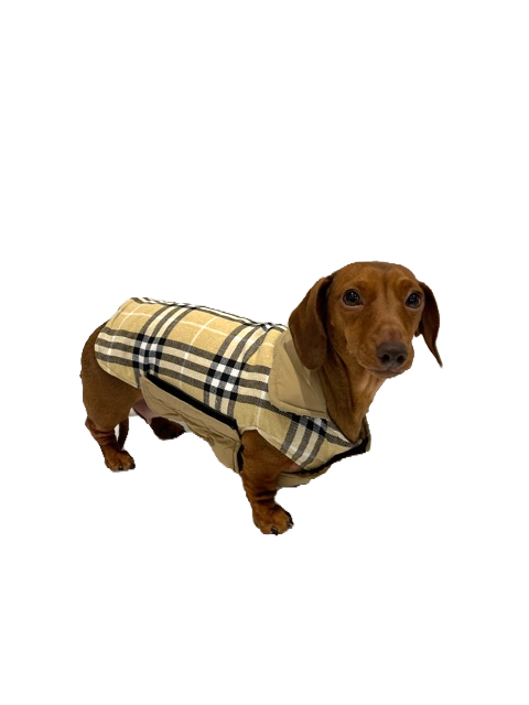 Sausage Dog Box Dachshund Reversible Plaid Coat Beige