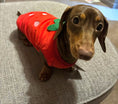 Load image into Gallery viewer, Red Juicy Strawberry - Sausage Dog Box Dachshund PJ's/Jumper
