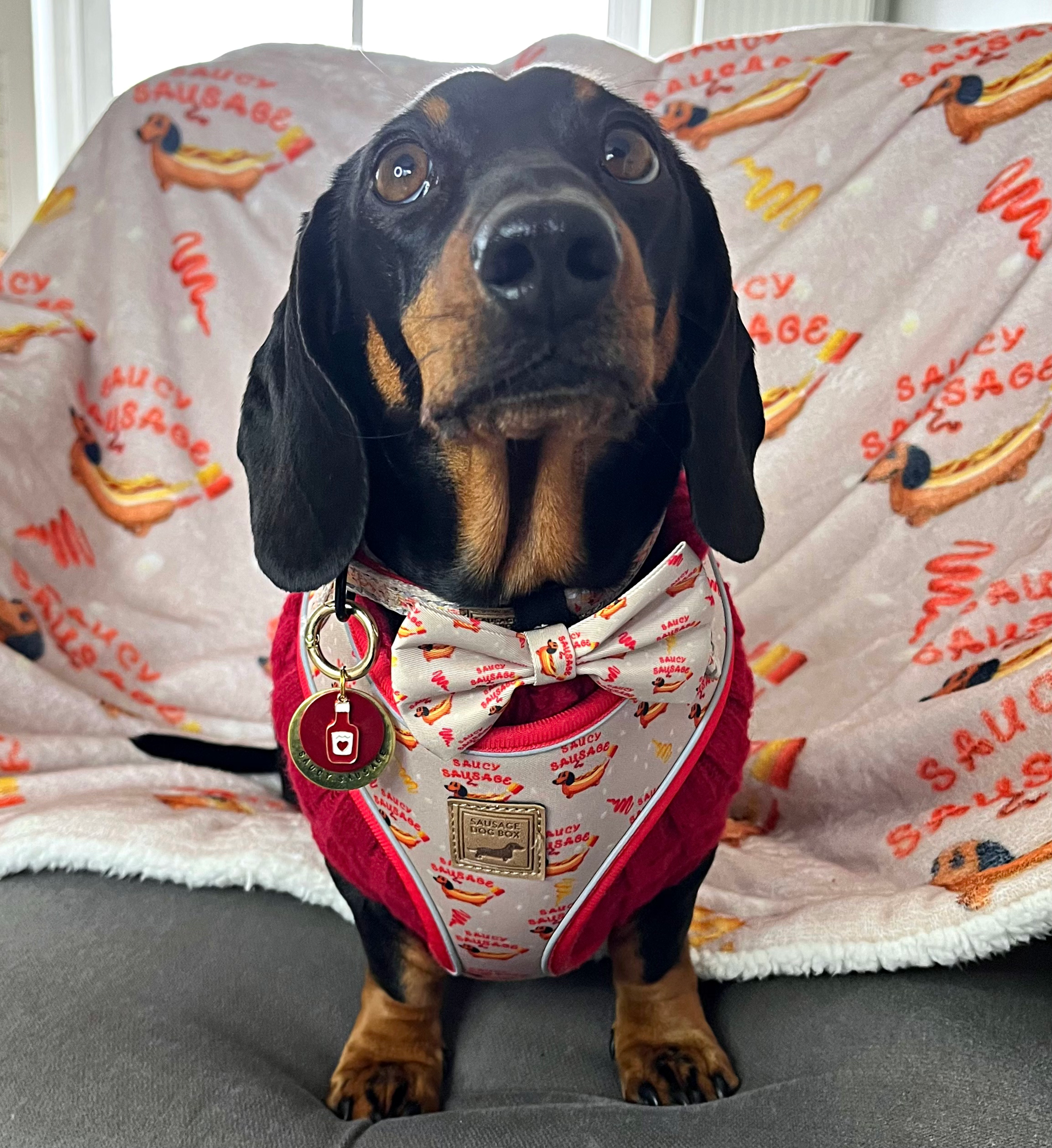 Blanket - Saucy Sausage