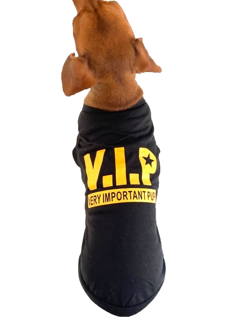 Sausage Dog Box V.I.P Very Important Pup Vest