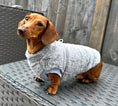 Load image into Gallery viewer, Silvery Grey Dachshund Snuggle Fleece - Sausage Dog Box Jumper
