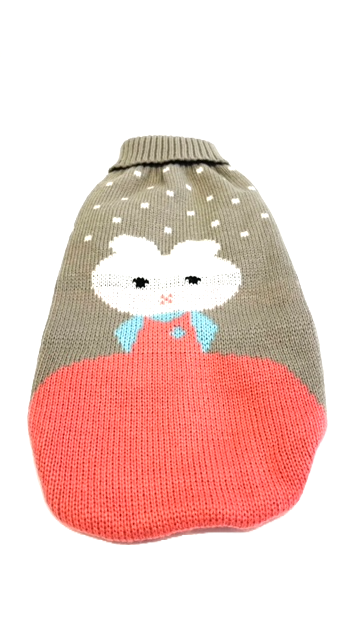 Sausage Dog Box Dachshund Bunny Jumper