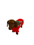 Load image into Gallery viewer, Sausage Dog Box Dachshund Christmas Elf Jumper
