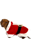 Load image into Gallery viewer, Sausage Dog Box Christmas Santa Outfit with Belt
