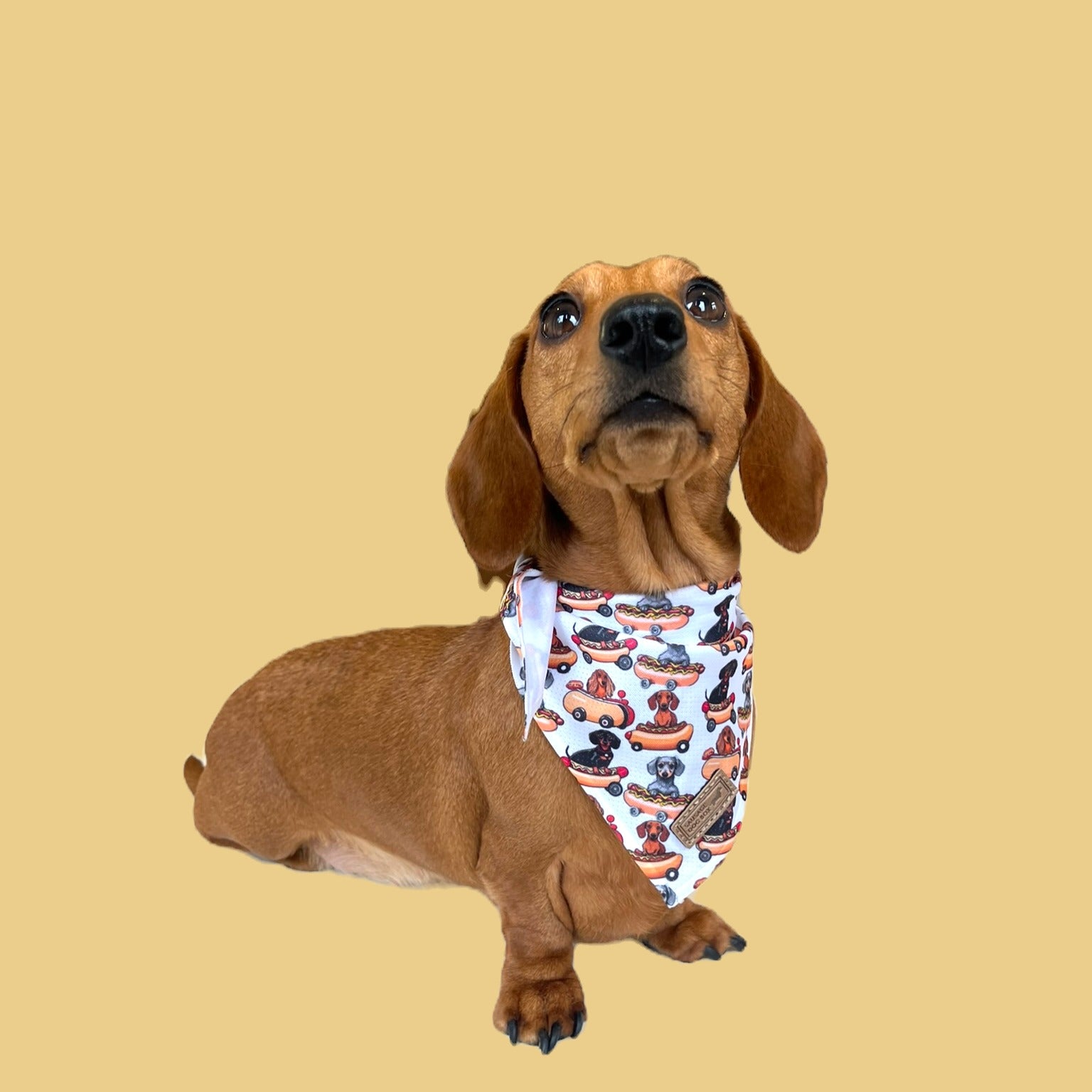 Bandana - Weiner On Wheels