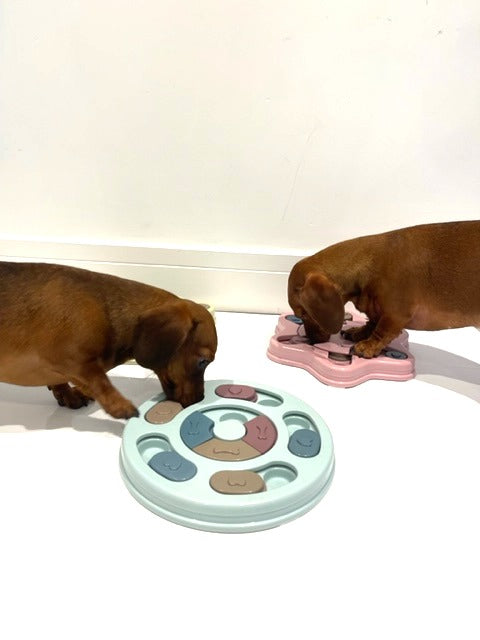 Sausage Dog Box Anxiety Round Treat Puzzle