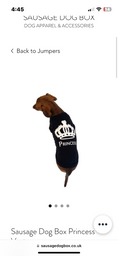 Load image into Gallery viewer, CLEARANCE - Sausage Dog Box Princess Vest
