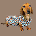 Load image into Gallery viewer, Howdy Cowboy 'Dach-A-Mac' Dachshund Rain Mac In Bag Sausage Dog Box Coat
