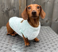 Load image into Gallery viewer, Frosty Mint Green Dachshund Snuggle Fleece - Sausage Dog Box Jumper
