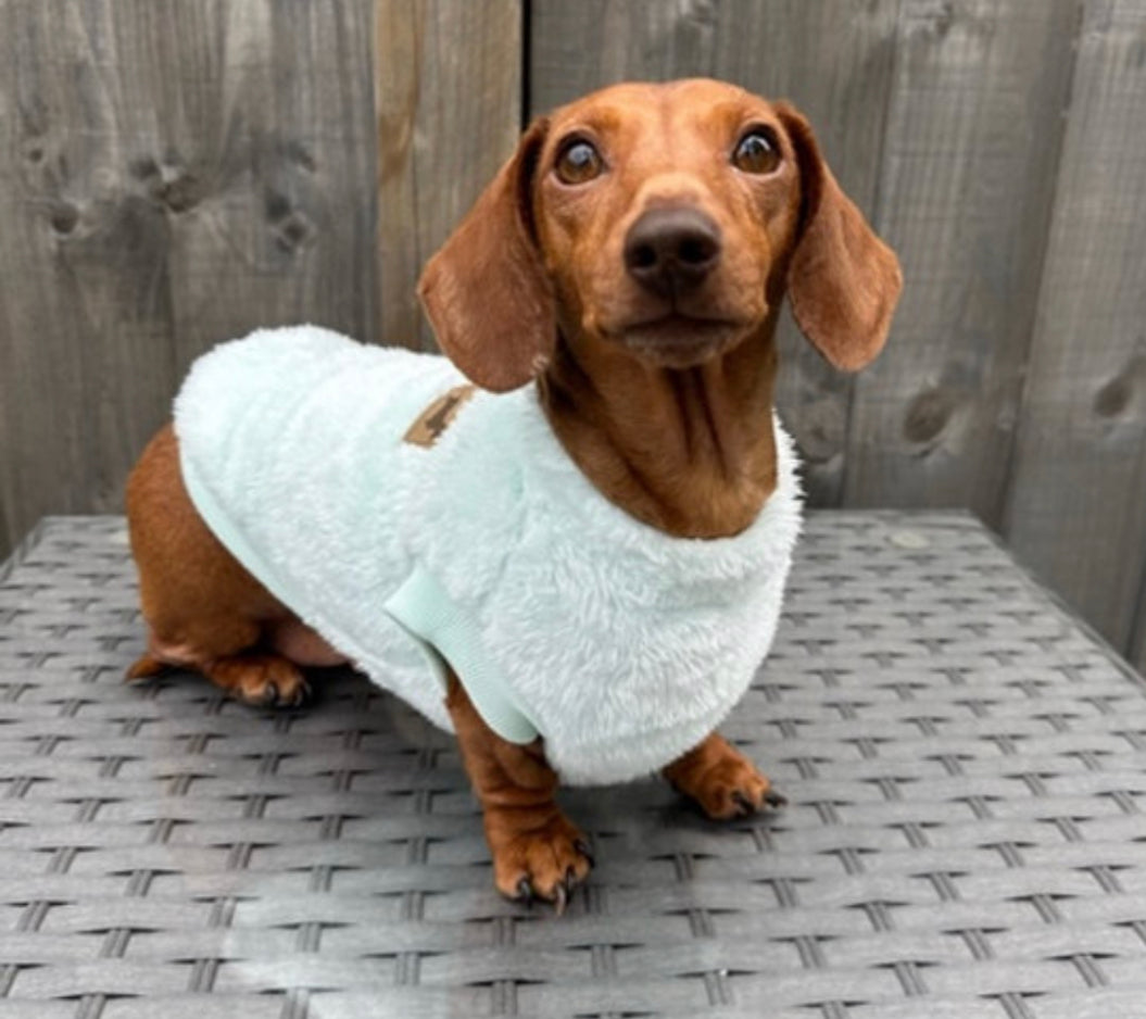 Frosty Mint Green Dachshund Snuggle Fleece - Sausage Dog Box Jumper