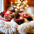 Load image into Gallery viewer, Red Oh Deer - Sausage Dog Box Dachshund PJ's/Jumper
