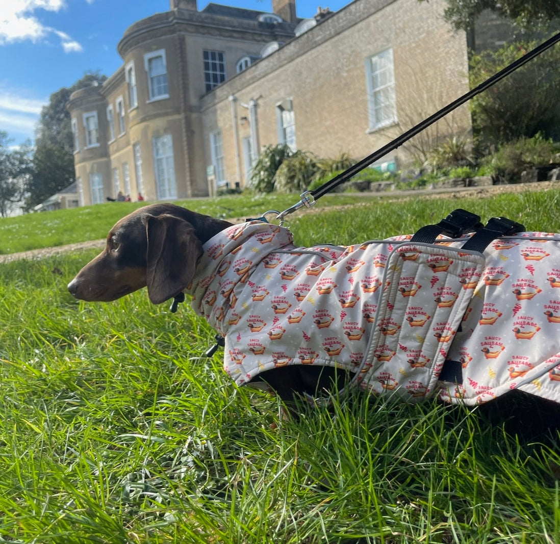 Warm Waterproof Dachshund Coat - Saucy Sausage Raincoat In Hot Dog Design