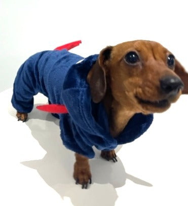 Sausage Dog Box Dachshund Shark Outfit