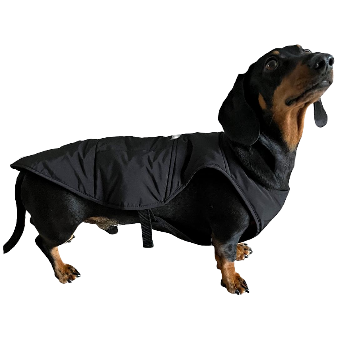 BARK AVENUE Luxury Ultimate Explorer Coat - Black