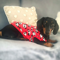 Load image into Gallery viewer, Sausage Dog Box Dachshund PJ Jumper - Red Panda
