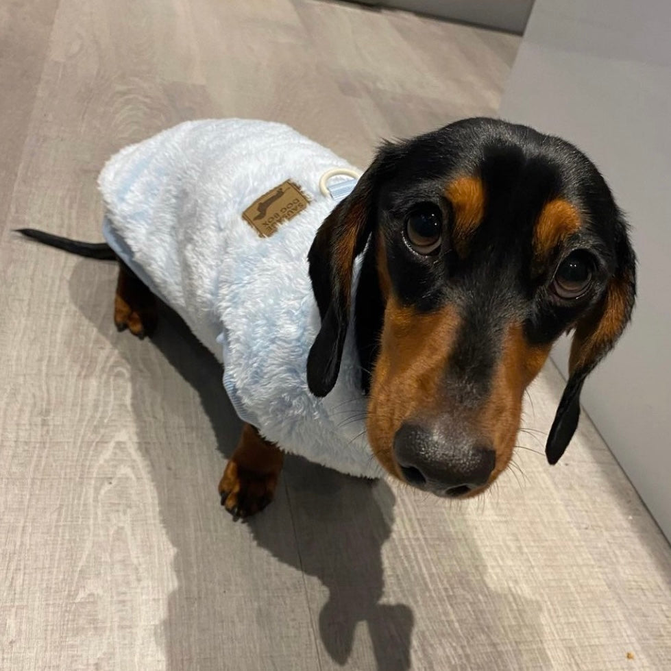 Cloud Blue Dachshund Snuggle Fleece - Soft Boys Jumper | Sausage Dog Box