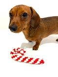 Load image into Gallery viewer, Sausage Dog Box Christmas Candy Cane Rope Toy
