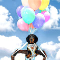 Load image into Gallery viewer, Anti-Rub Sausage Dog Harness - Up Up & Away
