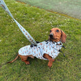 Load image into Gallery viewer, Blue Dachshund Coat 'Up Up and Away' Waterproof With PolarTec Fleece
