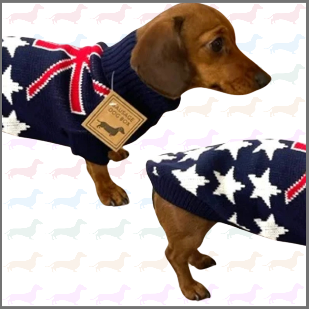 Sausage Dog Box Dachshund Flag Jumper