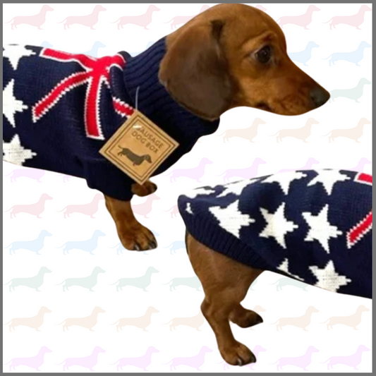 Sausage Dog Box Dachshund Flag Jumper