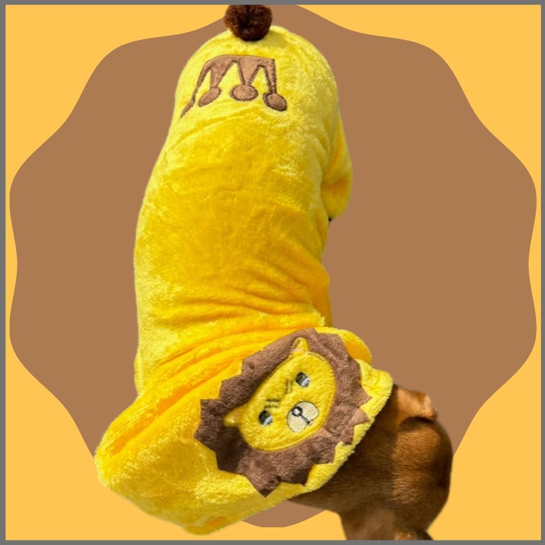 Sausage Dog Outfit - Lion Costume