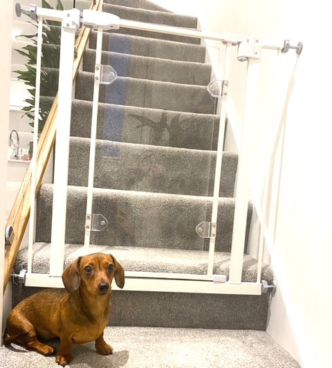 Sausage Dog Box Modern Safety Gate
