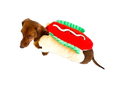 Load image into Gallery viewer, Sausage Dog Box Hot Dog Dress Up Outfit
