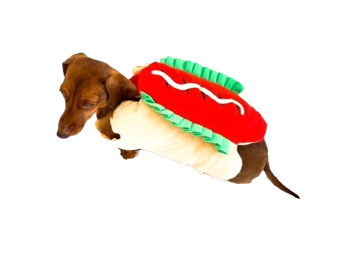 Sausage Dog Box Hot Dog Dress Up Outfit