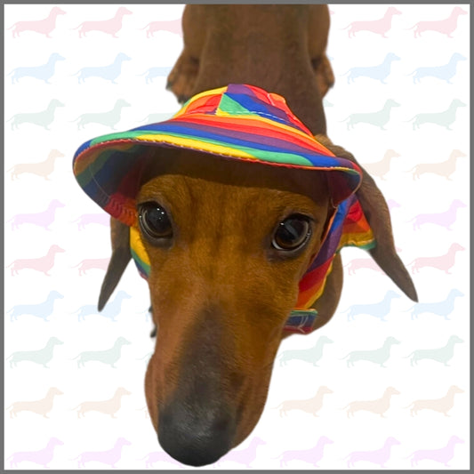 Sausage Dog Box Summer Sun Hat