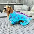Load image into Gallery viewer, Dachshund Outfit - Little Monster

