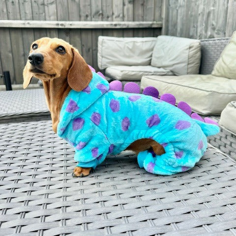 Dachshund Outfit - Little Monster