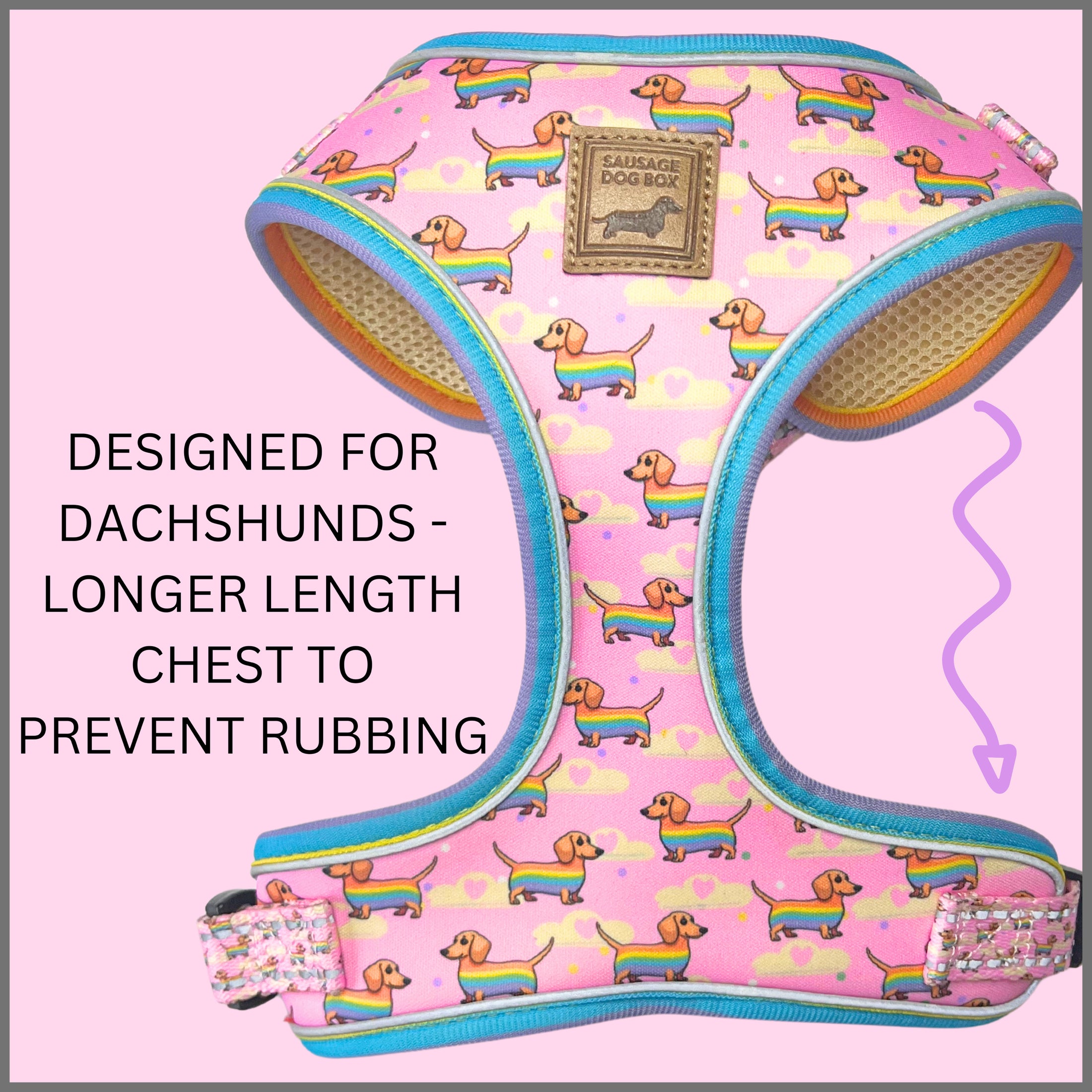 Anti-Rub Harness Designed For Dachshunds - Chasing Rainbows