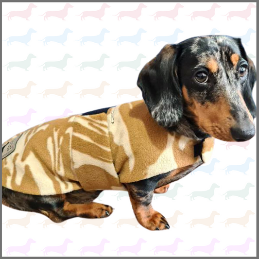 Sausage Dog Box Designer Fleece Waterproof Dachshund Coat - Camo