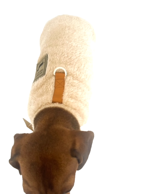 Butterscotch Beige Dachshund Snuggle Fleece - Sausage Dog Box Jumper