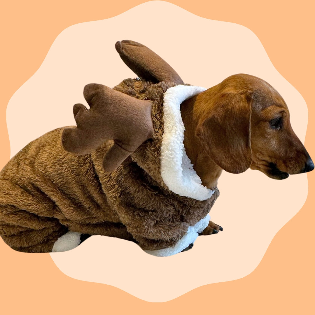 Dachshund ‘Baby Reindeer’ Onesie Outfit/Costume