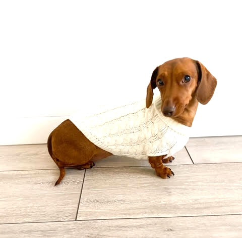 Sausage Dog Box Cosy White Cable Knit Dachshund Jumper