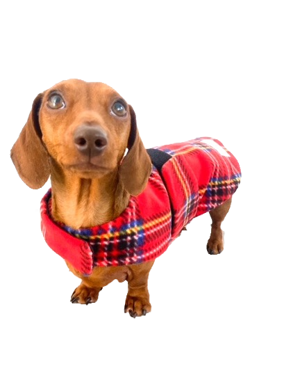 Sausage Dog Box Designer Fleece Waterproof 'Tartan' Dachshund Coat