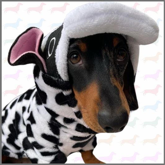 CLEARANCE - Sausage Dog Box, Dachshund Cute Cow Outfit