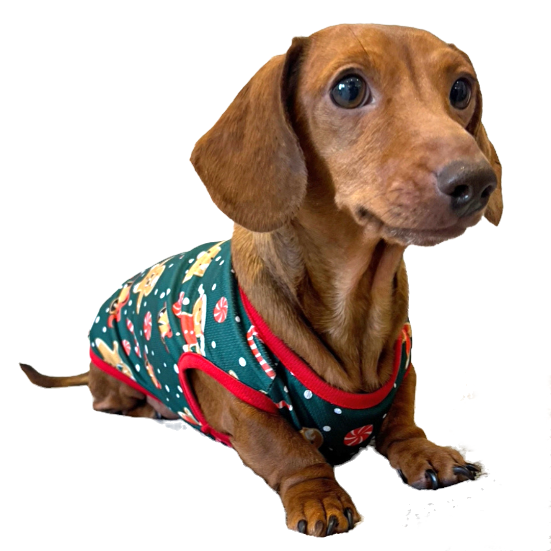 Sausage Dog Box Christmas Gingerbread Tee
