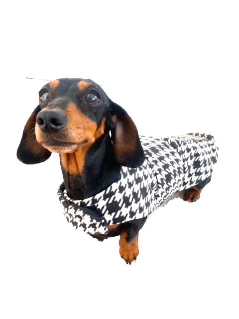 Sausage Dog Box Designer Fleece Waterproof 'Dog Tooth' Dachshund Coat